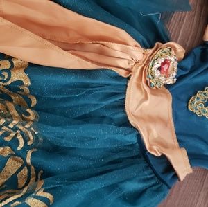 Disney merida costume